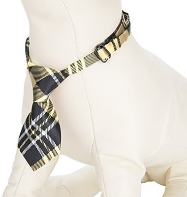 

CUE CUE Pet Dog Everyday Collar(, Multicolor