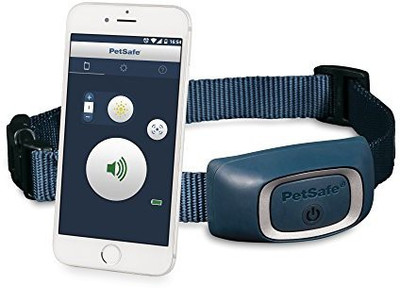 

PetSafe Dog Everyday Collar(, Multicolor