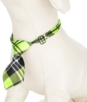 

CUE CUE Pet Dog Everyday Collar(, Multicolor