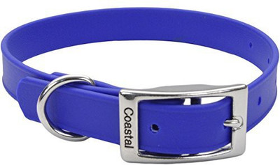 

Coastal Pet Dog Everyday Collar(, Multicolor