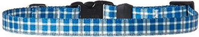 

Yellow Dog Design Dog Everyday Collar(, Multicolor