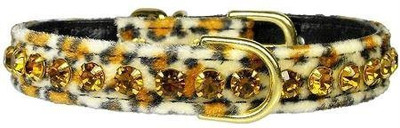 

Mirage Pet Products Dog Everyday Collar(, Multicolor