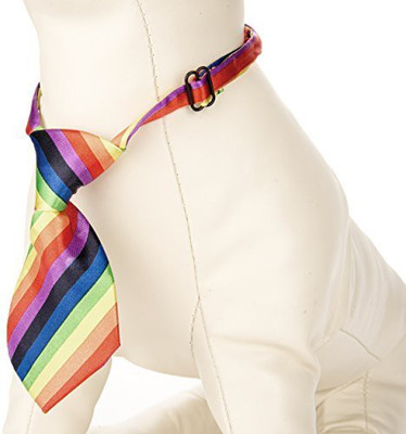 

CUE CUE Pet Dog Everyday Collar(, Multicolor