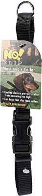 

Coastal Pet Dog Martingale Collar(, Multicolor