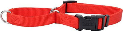 

Coastal Pet Dog Martingale Collar(, Red