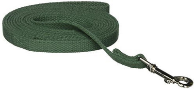 

Coastal Pet Dog Everyday Collar(, Green