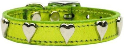 

Mirage Pet Products Dog Everyday Collar(, Multicolor