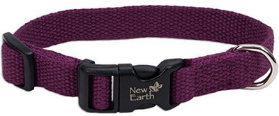 

Coastal Pet Dog Everyday Collar(, Multicolor
