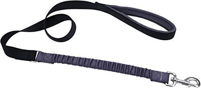 

Coastal Pet Dog Collar & Leash(, Multicolor
