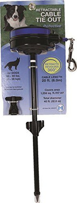 

Generic Dog Collar & Leash(, Multicolor
