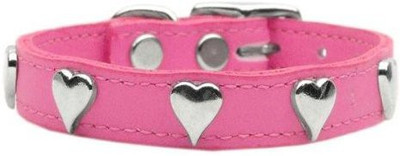 

Mirage Pet Products Dog Everyday Collar(, Multicolor