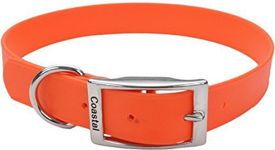 

Coastal Pet Dog Everyday Collar(, Multicolor