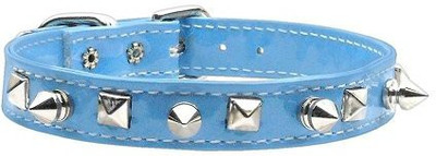

Mirage Pet Products Dog Everyday Collar(, Multicolor