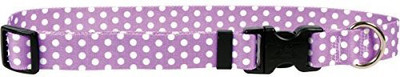 

Yellow Dog Design Dog Everyday Collar(, Multicolor