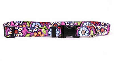 Yellow Dog Design Dog Everyday Collar(, Multicolor