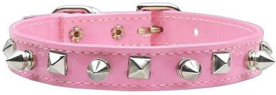 

Mirage Pet Products Dog Everyday Collar(, Multicolor