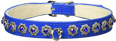 

Mirage Pet Products Dog Everyday Collar(, Multicolor