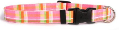 

Yellow Dog Design Dog Everyday Collar(, Multicolor