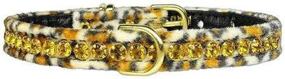 

Mirage Pet Products Dog Everyday Collar(, Multicolor