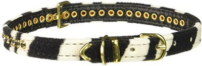 

Mirage Pet Products Dog Everyday Collar(, Multicolor