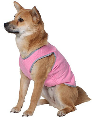 

American Kennel Club Dog Collar & Leash(, Pink