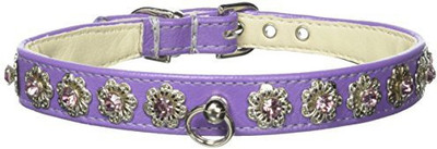 Mirage Pet Products Dog Everyday Collar(, Purple