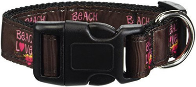

Mirage Pet Products Dog Everyday Collar(, Multicolor