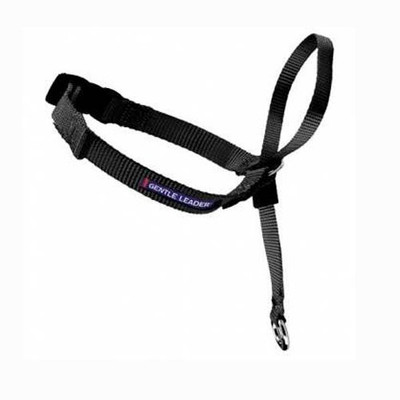 

PetSafe Dog Everyday Collar(, Multicolor