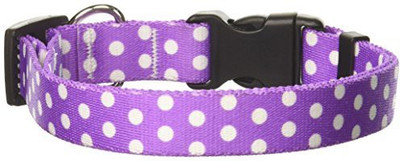 

Yellow Dog Design Dog Everyday Collar(, Multicolor