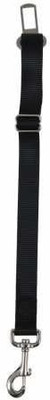 

Generic Dog Collar & Leash(, Multicolor