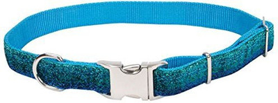 

Coastal Pet Dog Everyday Collar(, Multicolor