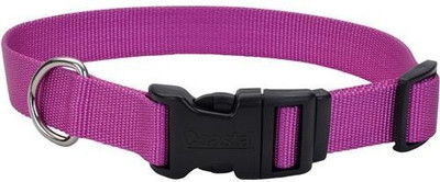 

Coastal Pet Products Dog Everyday Collar(, Multicolor