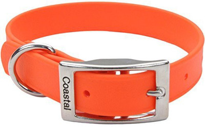 

Coastal Pet Dog Everyday Collar(, Multicolor