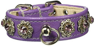 

Mirage Pet Products Dog Everyday Collar(, Purple