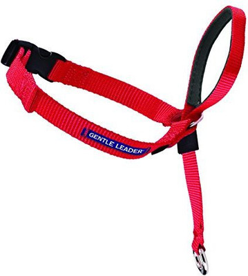 

PetSafe Dog Everyday Collar(, Pink