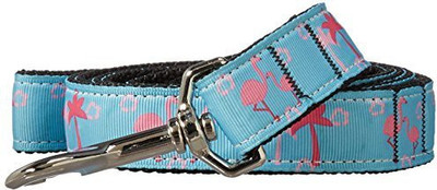 

Mirage Pet Products Dog Everyday Collar(, Multicolor