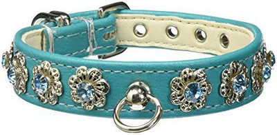 

Mirage Pet Products Dog Everyday Collar(, Multicolor