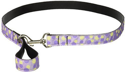 

Mirage Pet Products Dog Collar & Leash(, Multicolor