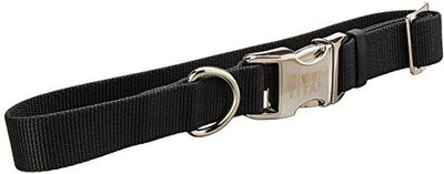 

Coastal Pet Dog Everyday Collar(, Multicolor