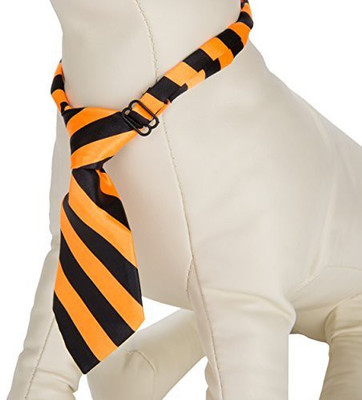 

CUE CUE Pet Dog Everyday Collar(, Multicolor