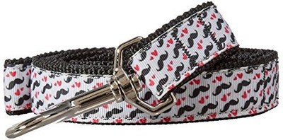 

Mirage Pet Products Dog Everyday Collar(, Multicolor