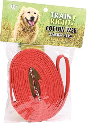 

Coastal Pet Dog Everyday Collar(, Red