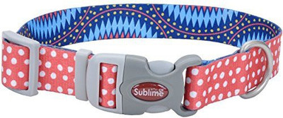

Coastal Pet Dog Everyday Collar(, Multicolor
