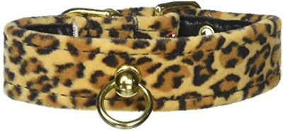 

Mirage Pet Products Dog Everyday Collar(, Multicolor