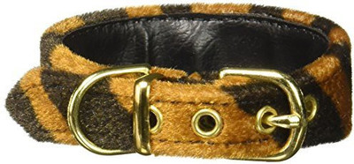 

Mirage Pet Products Dog Everyday Collar(, Multicolor