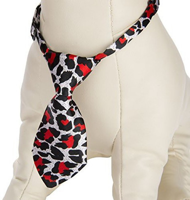 

CUE CUE Pet Dog Everyday Collar(, Multicolor