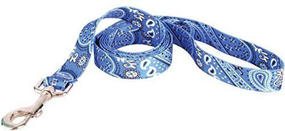 

Yellow Dog Dog Collar & Leash(, Multicolor