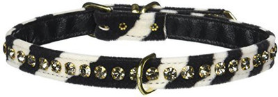 

Mirage Pet Products Dog Everyday Collar(, Multicolor