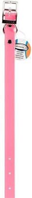 

Coastal Pet Dog Everyday Collar(, Multicolor