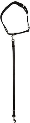 

PetSafe Dog Collar & Leash(, Multicolor